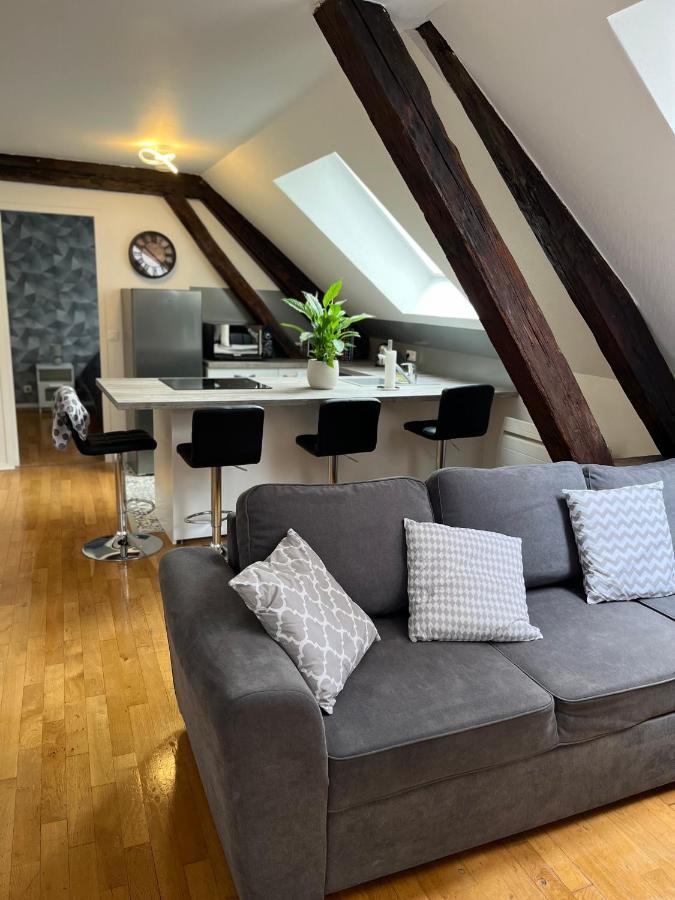 Coeur De Bouchon Apartment ทรัวส์ ภายนอก รูปภาพ